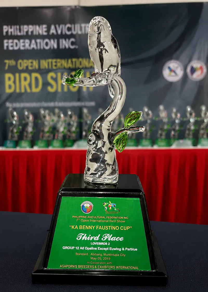 Third-place glass trophy from the Philippine Aviculture Federation's 7th Open International Bird Show, 2019