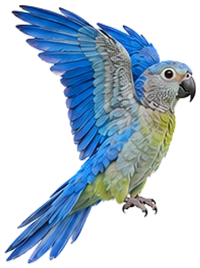 A blue-backed parrot, wings raised, showing its blue back