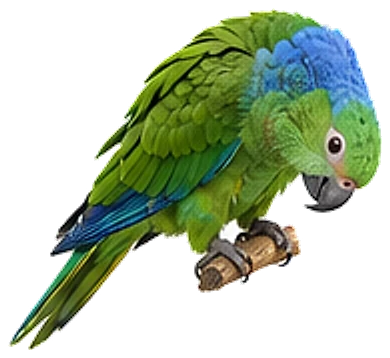 A blue-naped parrot, leaning forward on a perch